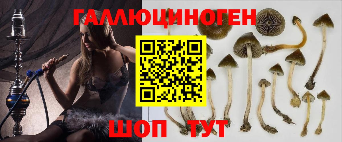 ГАШ Серпухов
